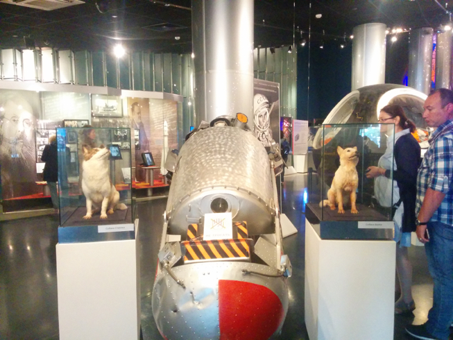 IMG_20170625_133146_653x490