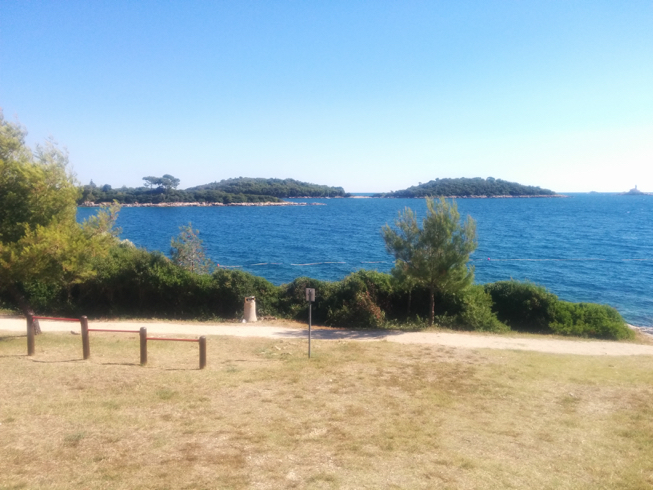 IMG_20170703_163747_653x490