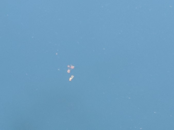 MVIMG_20180628_164830_800x600