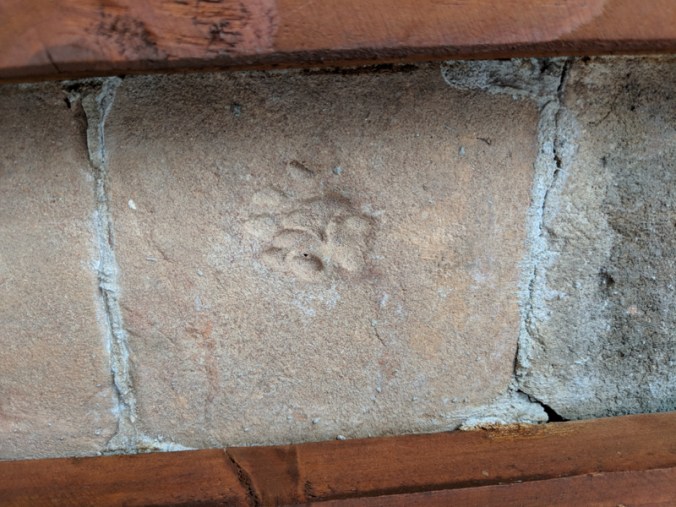 MVIMG_20180630_112102_800x600