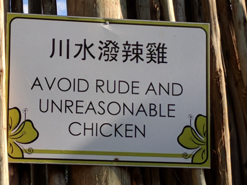 MVIMG_20181025_163323_500x375