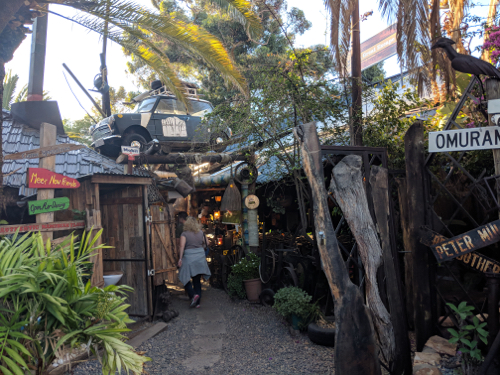 MVIMG_20181025_180257_500x375