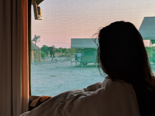 MVIMG_20181031_055154_500x375