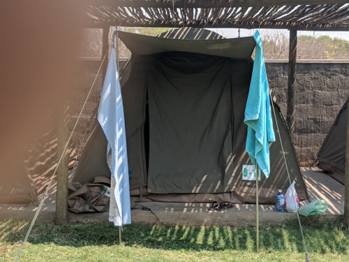 MVIMG_20181102_100228_500x375