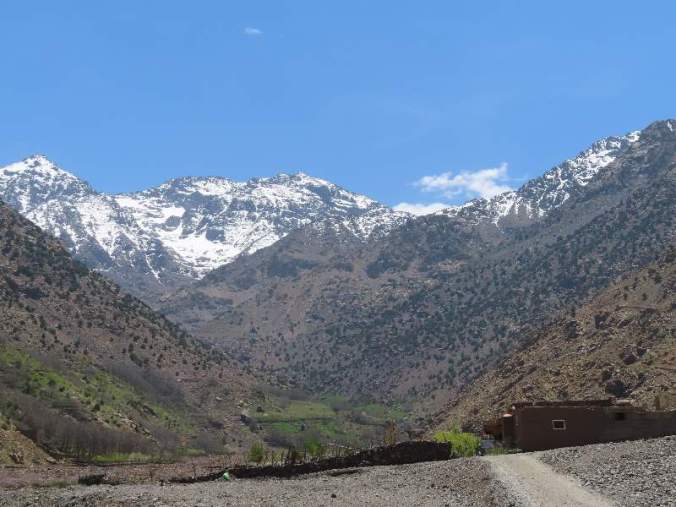 IMG_2191PHOTORESIZERCROPRESIZEANDSHAREIMAGESINBATCH02May1944121PM