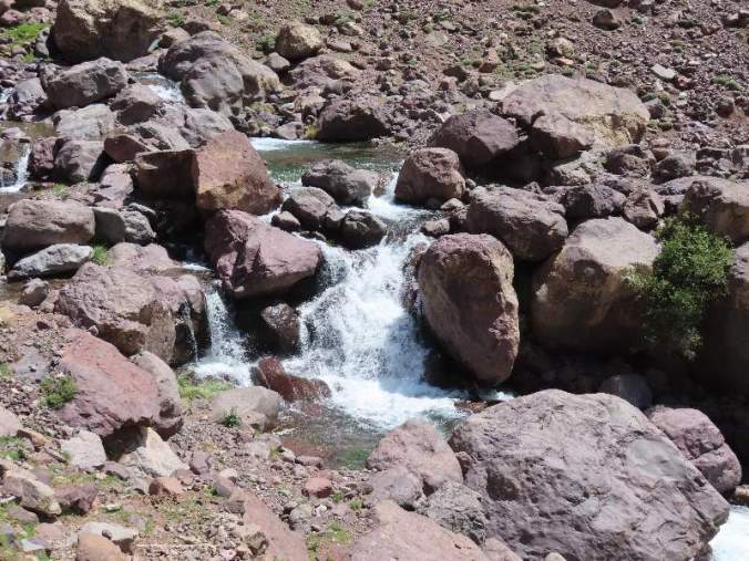 IMG_2196PHOTORESIZERCROPRESIZEANDSHAREIMAGESINBATCH02May1944134PM