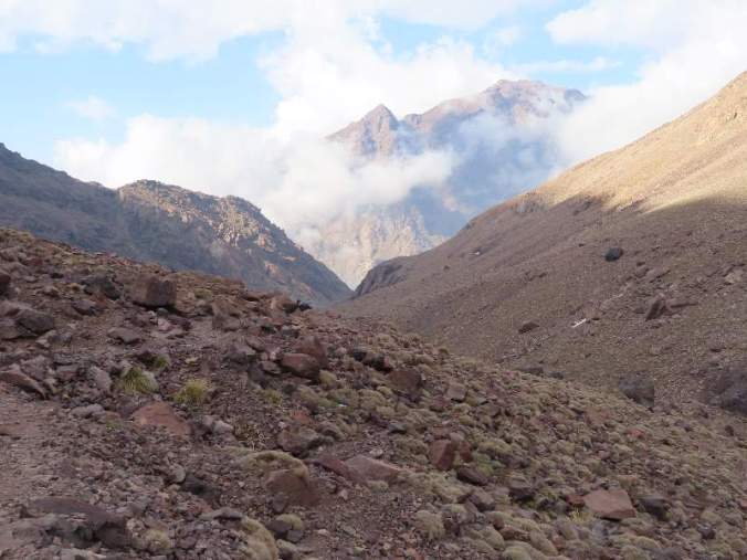 IMG_2207PHOTORESIZERCROPRESIZEANDSHAREIMAGESINBATCH02May1944159PM